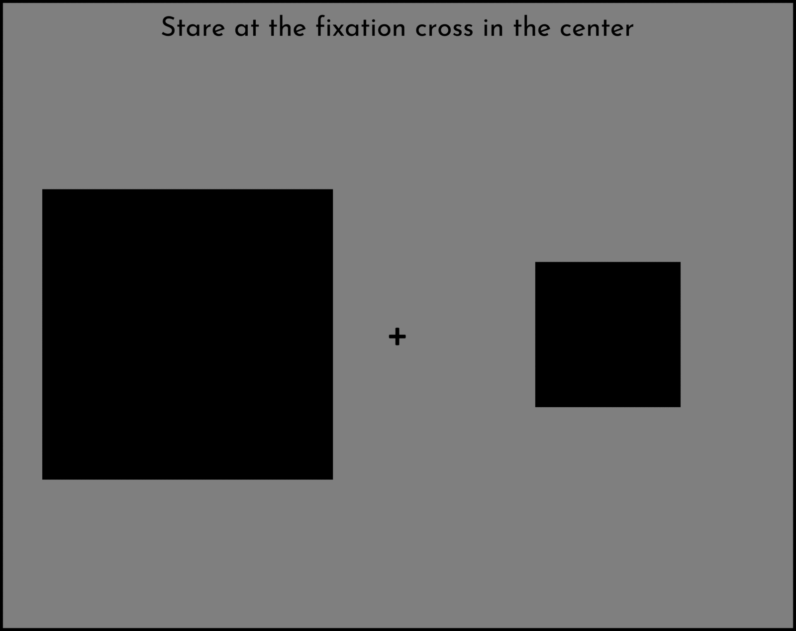 Standard size adaptation demo