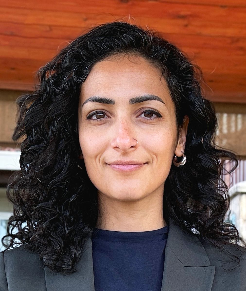 Dorsa Amir